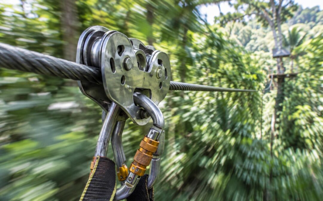 How Do Ziplines Work? The Simple Science Behind the Thrill